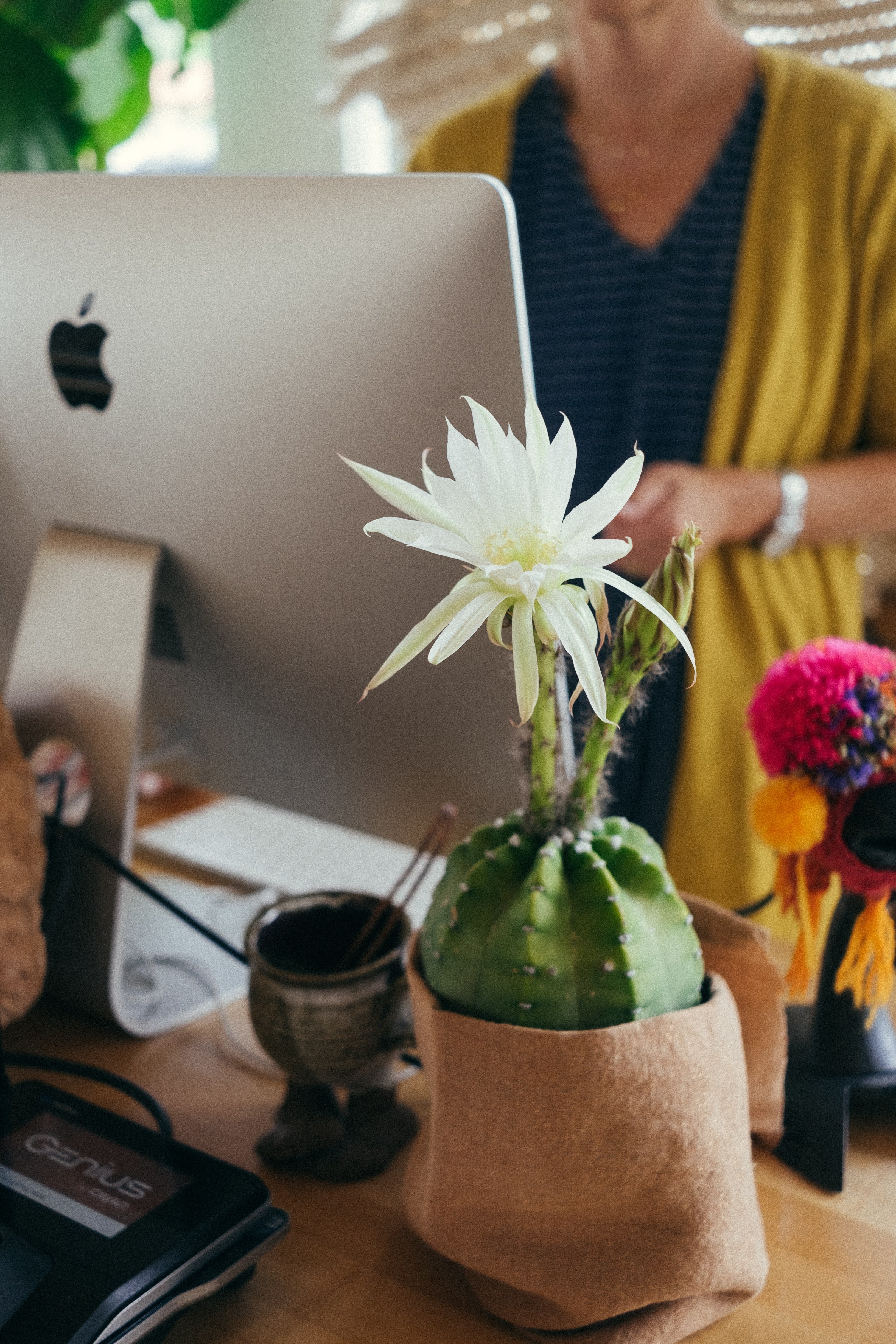 Office Energy Clearing - Home Office